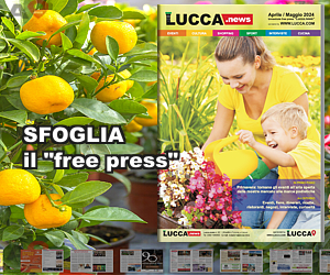 Lucca.news - N. 50 - Edizione Aprile 2024 - Maggio 2024 - Free Press di Attualità ed Eventi Lucca e Provincia#